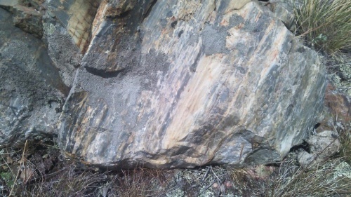 Гигантские зелёные валуны для ландшафтного дизайна весом более 5 тонн купить в Миассе